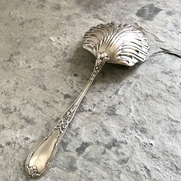 Cuillère en Forme de Coquillage